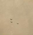Peter Provenzano Photo Album Image_copy_104
